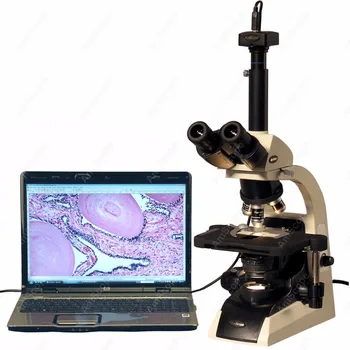 Infinity Načrt Mikroskopom--AmScope Dobave 40X-2500X Infinity Načrt Trinocular Biološki Mikroskop z 3MP Digitalni Fotoaparat
