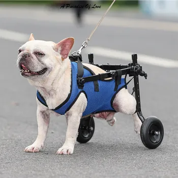 Invalidski voziček Invalidnosti Noge Nosilec Mačka in Pes Repeller Ranjenih Šibka Rehabilitacijo Pomoči Avto Nastavljiv Pet Sprehod Booster