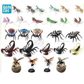 Bandai Žuželke Gashapon Big Picture Book Series Bogomolke Pajek Scorpion Wasp Simulacije Insektov Akcijska Figura Model Igrače