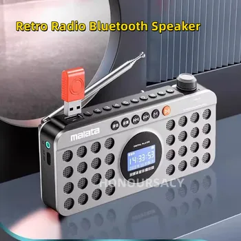 Prenosni FM Radio 70-108Mhz Radijski Sprejemnik Mini Wireles Bluetooth Zvočnik Diktafona z Zaslona Baterijo za ponovno Polnjenje TF USB Predvajanje